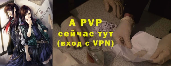 трава Арсеньев