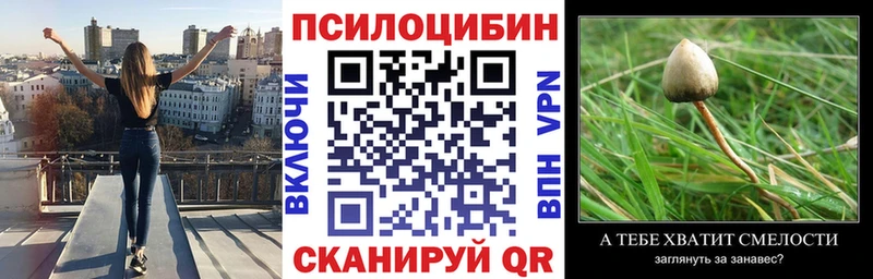 Псилоцибиновые грибы GOLDEN TEACHER  Хотьково 
