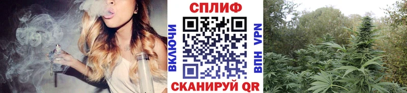Конопля THC 21% Хотьково